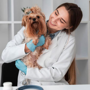 Selma Pet Clinic Spay Dermatology