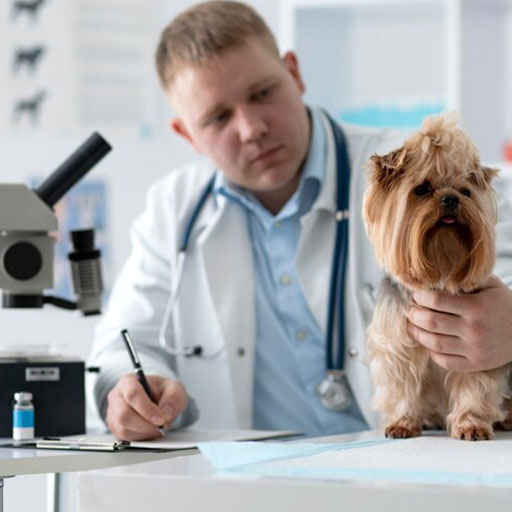 Selma Pet Clinic In-House Lab