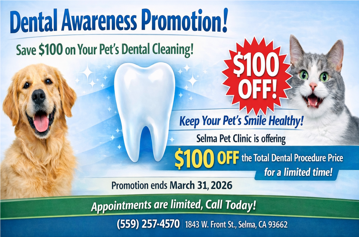 Selma Pet Clinic – Best Veterinary Clinic in Selma